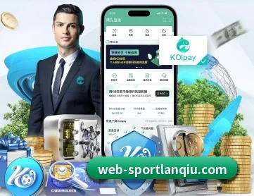 篮球赌注 APP 深度功能
